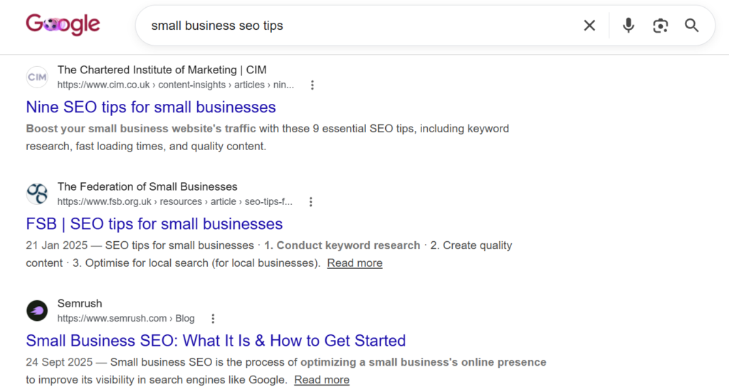 Screenshot of Google Search results for the keyword small business SEO tips