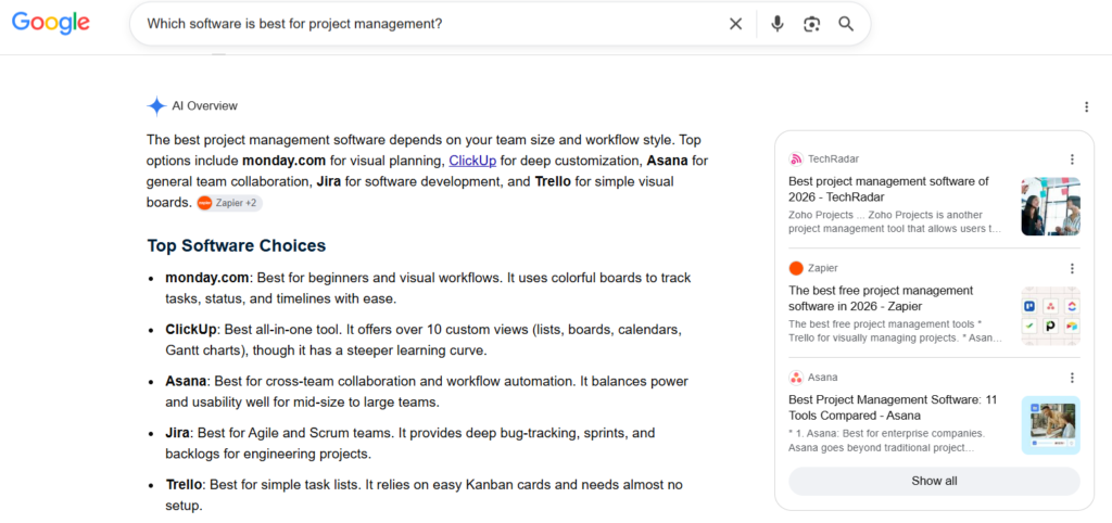 Google AI Overview screenshot 